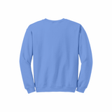 Carolina Blue Sweatshirt MOQ 50 PCS