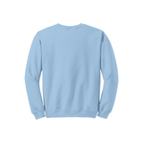 Light Blue Sweatshirt