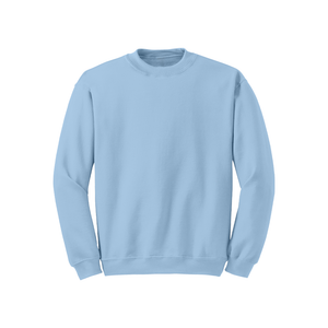 Light Blue Sweatshirt