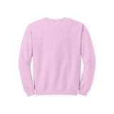 Light Pink Sweatshirt