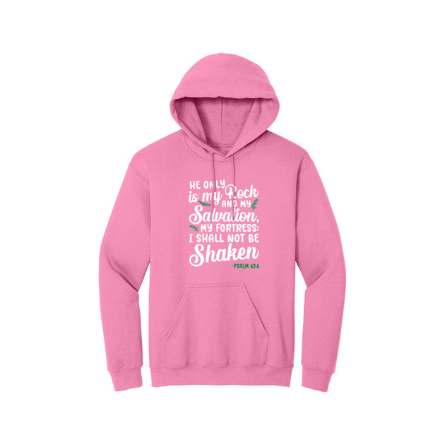 BIBLE THEMES Hoodie