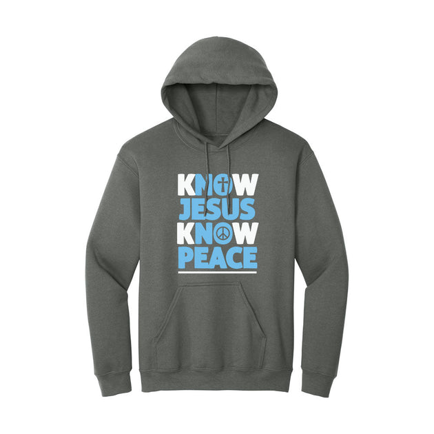 BIBLE THEMES Hoodies