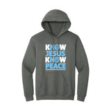 BIBLE THEMES Hoodies