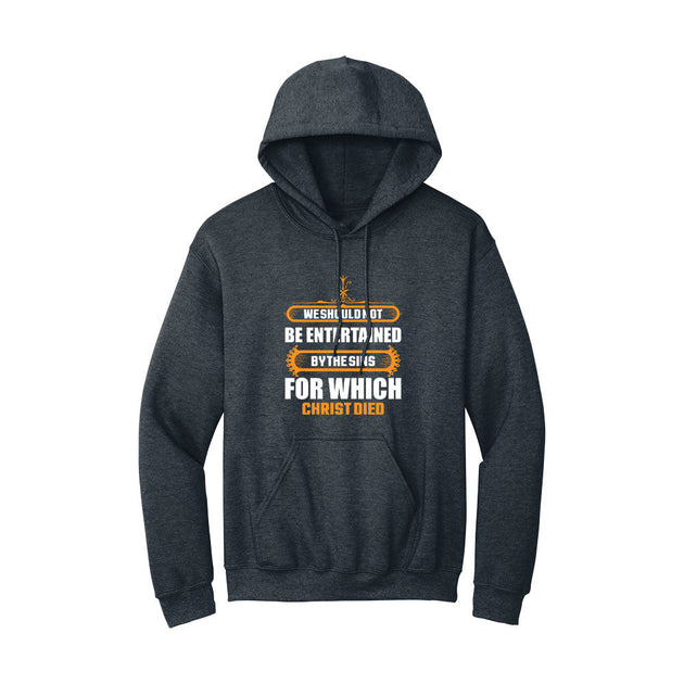 BIBLE THEMES Hoodie