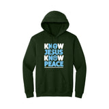 BIBLE THEMES Hoodies