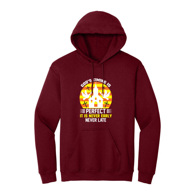 BIBLE THEMES Hoodie