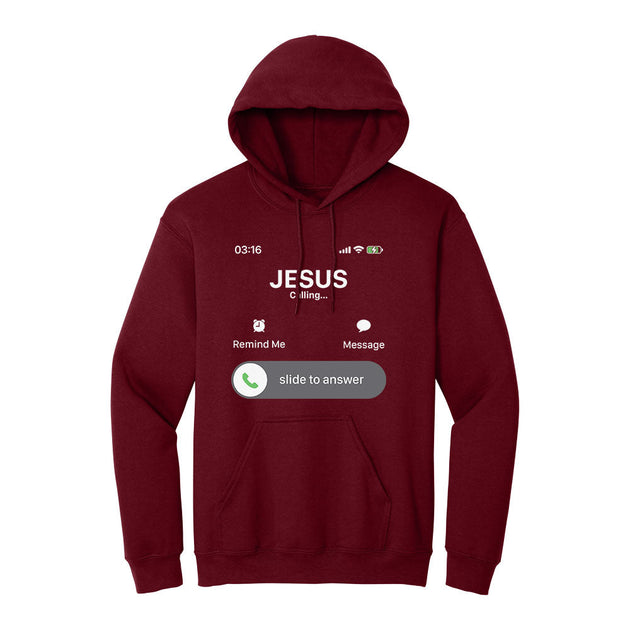 BIBLE THEMES Hoodie