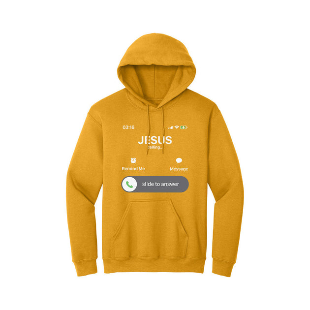 BIBLE THEMES Hoodie