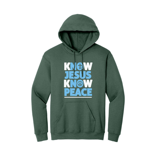 BIBLE THEMES Hoodies