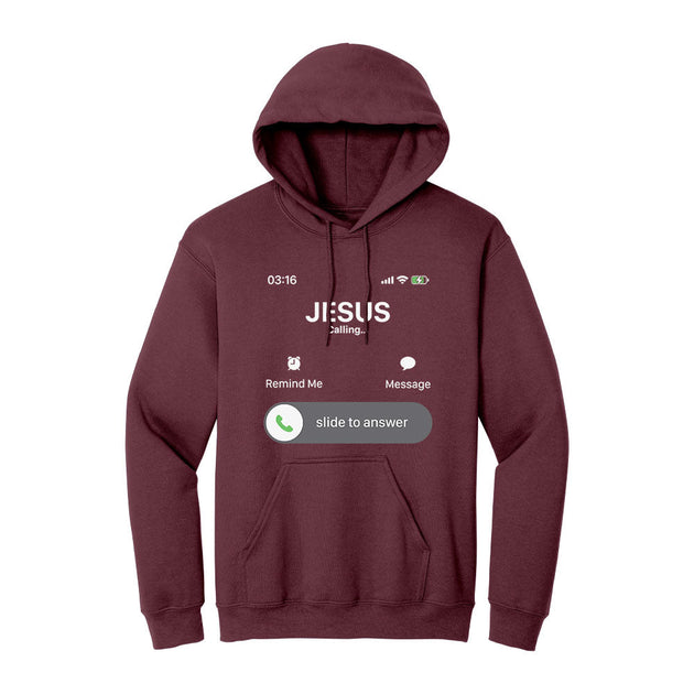 BIBLE THEMES Hoodie