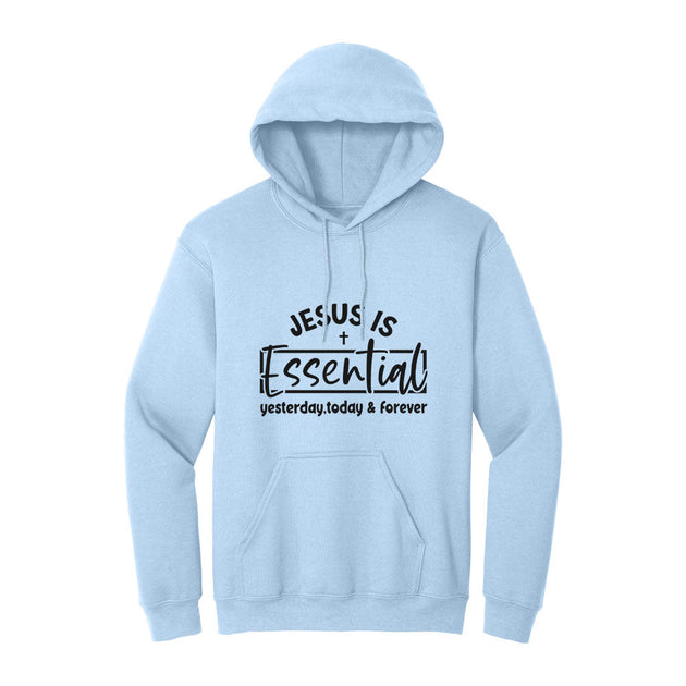 BIBLE THEMES Hoodie