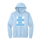 BIBLE THEMES Hoodies