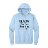 BIBLE THEMES Hoodie