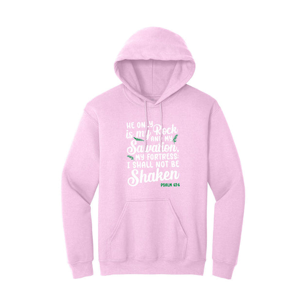 BIBLE THEMES Hoodie