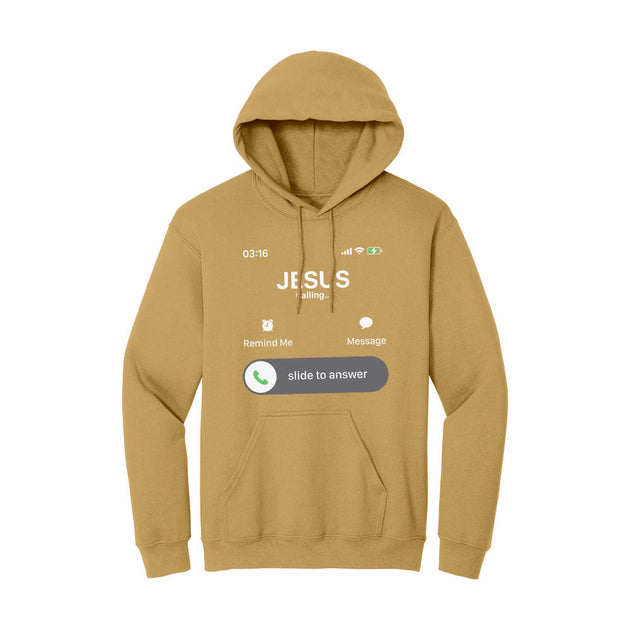 BIBLE THEMES Hoodie