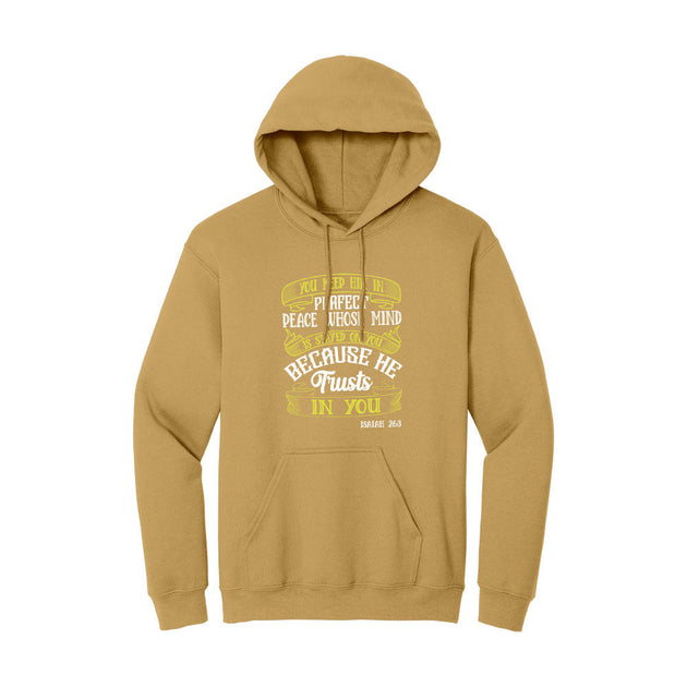 BIBLE THEMES Hoodie