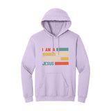 BIBLE THEMES Hoodie