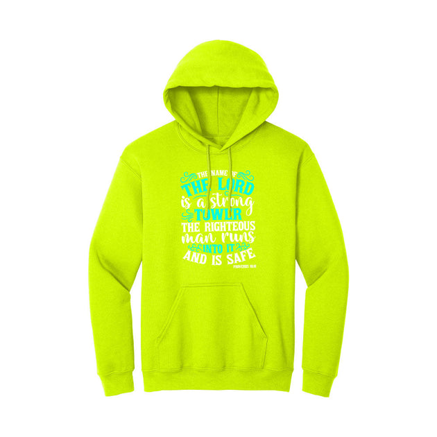 BIBLE THEMES Hoodie