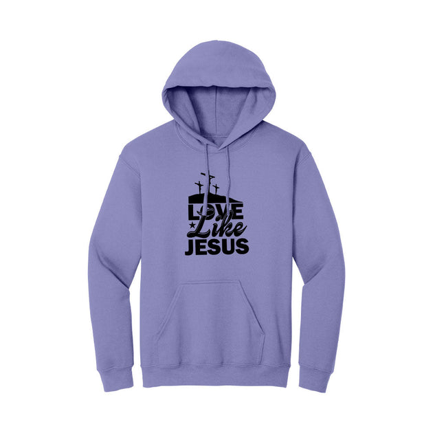 BIBLE THEMES Hoodie