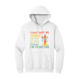 BIBLE THEMES Hoodies