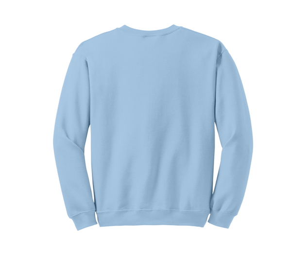 Light Blue Sweatshirt