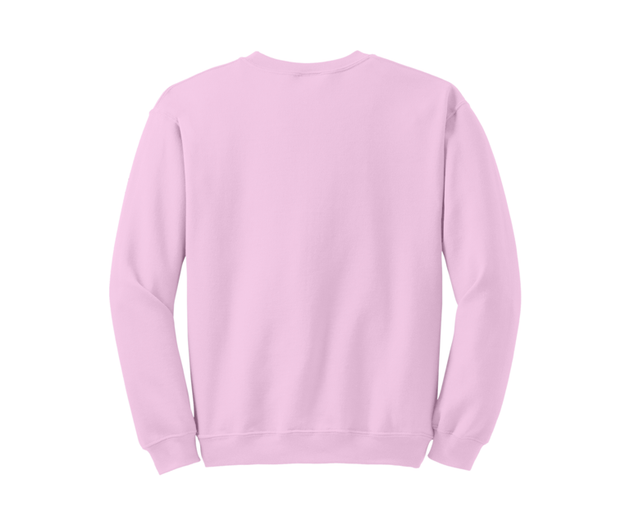 Light Pink Sweatshirt