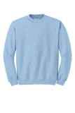 Light Blue Sweatshirt