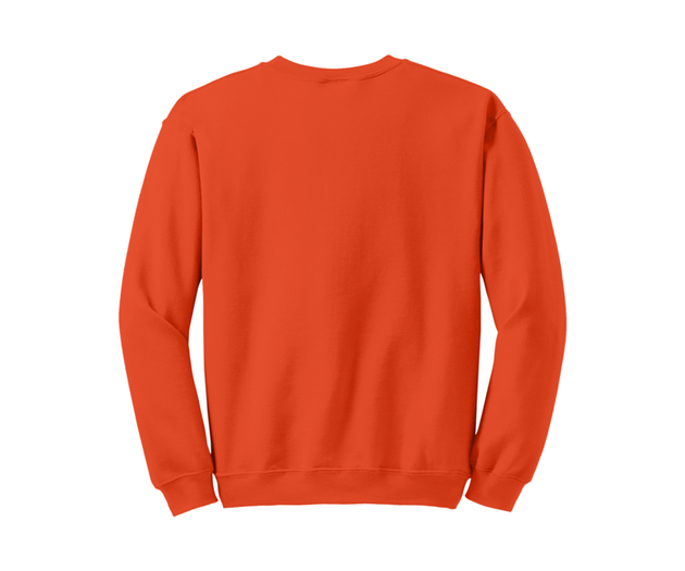 Orange Sweatshirt